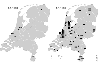 Hanf-Läden in den Niederlanden